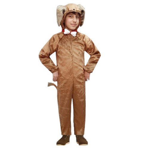 Okul Gösteri, Çocuk ve Yetişkin Kostümleri | Kostümce