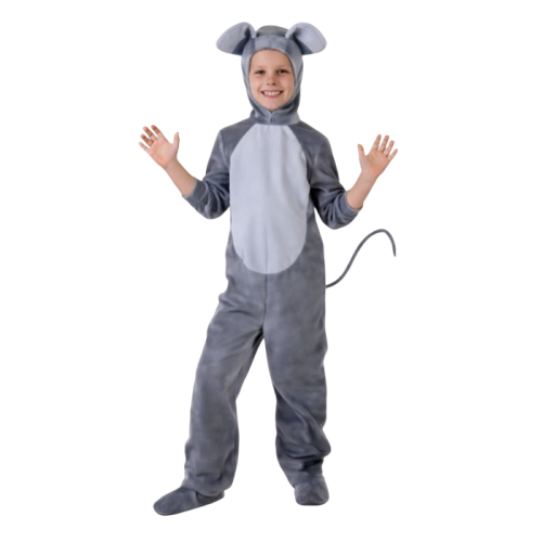 Okul Gösteri, Çocuk ve Yetişkin Kostümleri | Kostümce