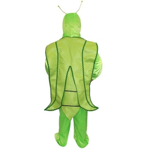 Okul Gösteri, Çocuk ve Yetişkin Kostümleri | Kostümce