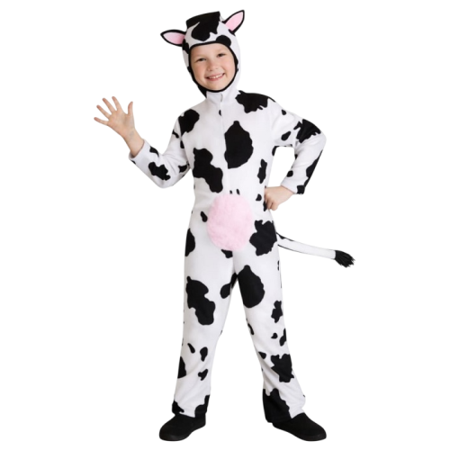 Okul Gösteri, Çocuk ve Yetişkin Kostümleri | Kostümce