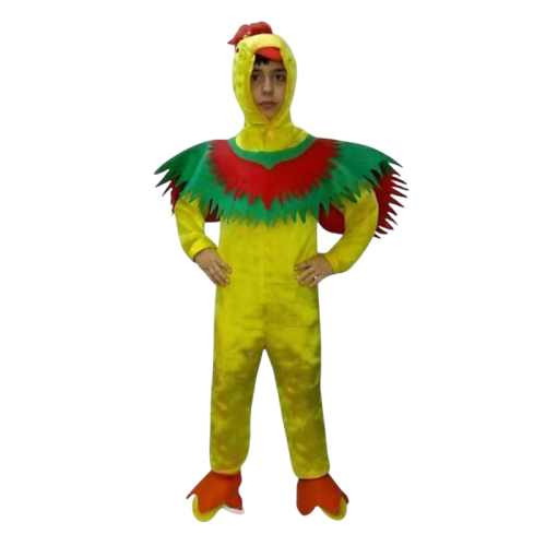 Okul Gösteri, Çocuk ve Yetişkin Kostümleri | Kostümce