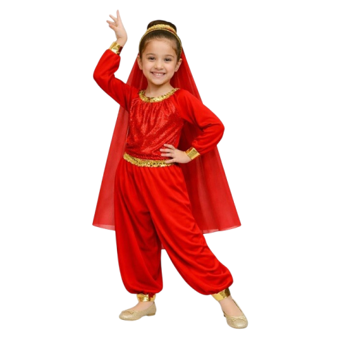 Okul Gösteri, Çocuk ve Yetişkin Kostümleri | Kostümce