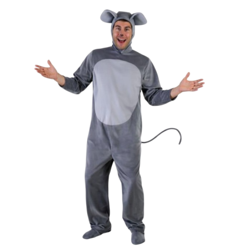 Okul Gösteri, Çocuk ve Yetişkin Kostümleri | Kostümce