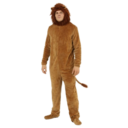 Okul Gösteri, Çocuk ve Yetişkin Kostümleri | Kostümce