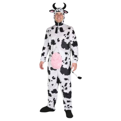 Okul Gösteri, Çocuk ve Yetişkin Kostümleri | Kostümce