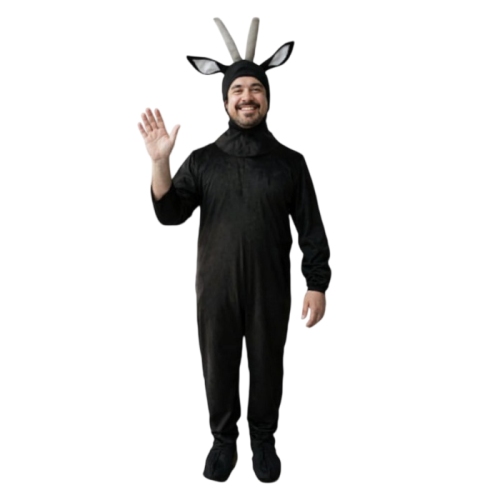 Okul Gösteri, Çocuk ve Yetişkin Kostümleri | Kostümce