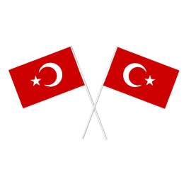 Türk Bayrağı Kağıt Çıtalı 100'lü