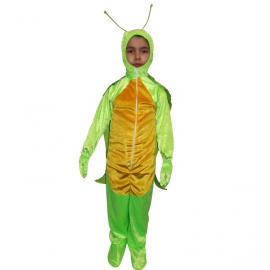 Ağustos Böceği Kostümü Çocuk