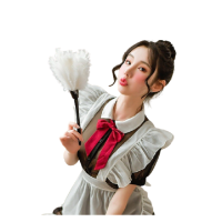 Bayan Hizmetçi El Püskülü