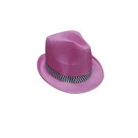 Barbie Parti Şapkası