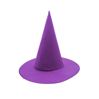 Cadı Şapkası Mor Çocuk