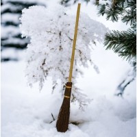 Kardan Adam Çalı Süpürgesi