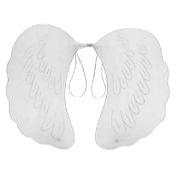 Beyaz Tüylü Tül Peri Kanadı 