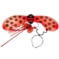 Uğur Böceği Kanat Taç Asa Set