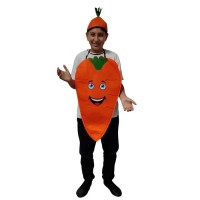 Havuç Kostümü Çocuk