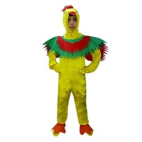 Kuş Kostümü Çocuk