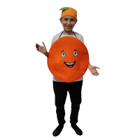 Mandalina Kostümü Çocuk
