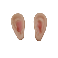 Elf Kulağı Lateks