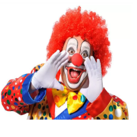 Palyaço Peruğu Kırmızı Renk
