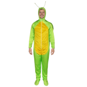 Ağustos Böceği Kostümü Yetişkin